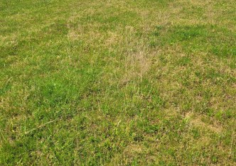 działka na sprzedaż - Zbrosławice