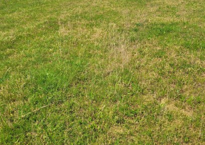 działka na sprzedaż - Zbrosławice